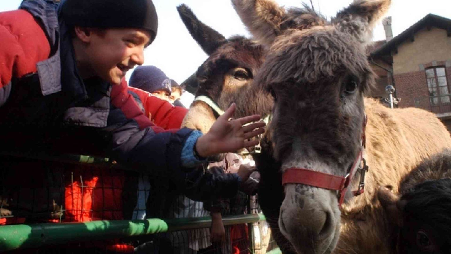 Dal posto fisso al latte d'asina
