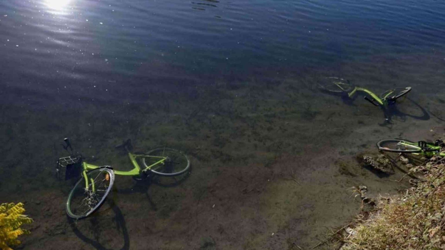 Troppi vandali, un operatore di bike sharing se ne va