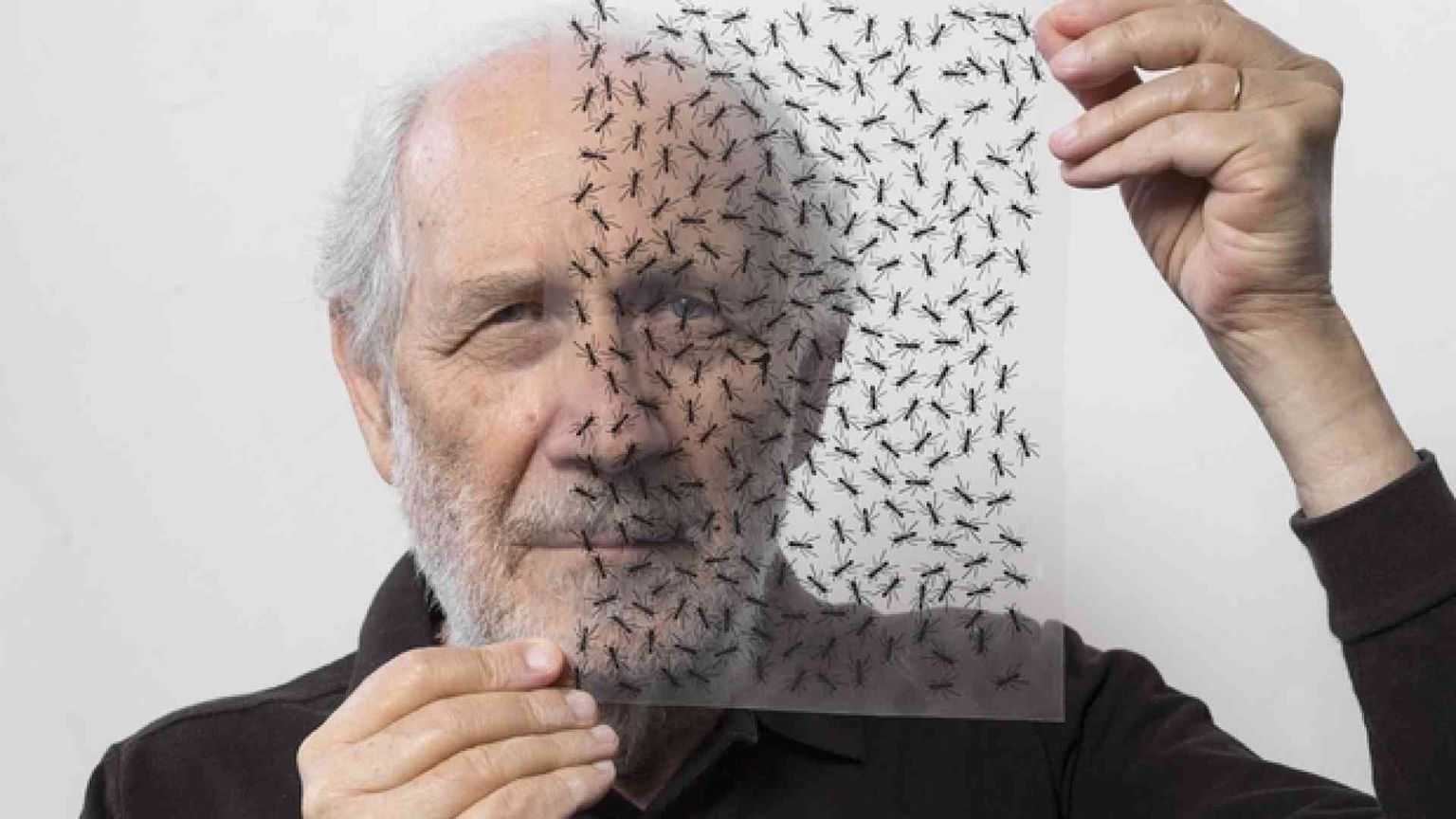 Emilio Isgrò e l'arte di cancellare: «Ma non cancello Dio»