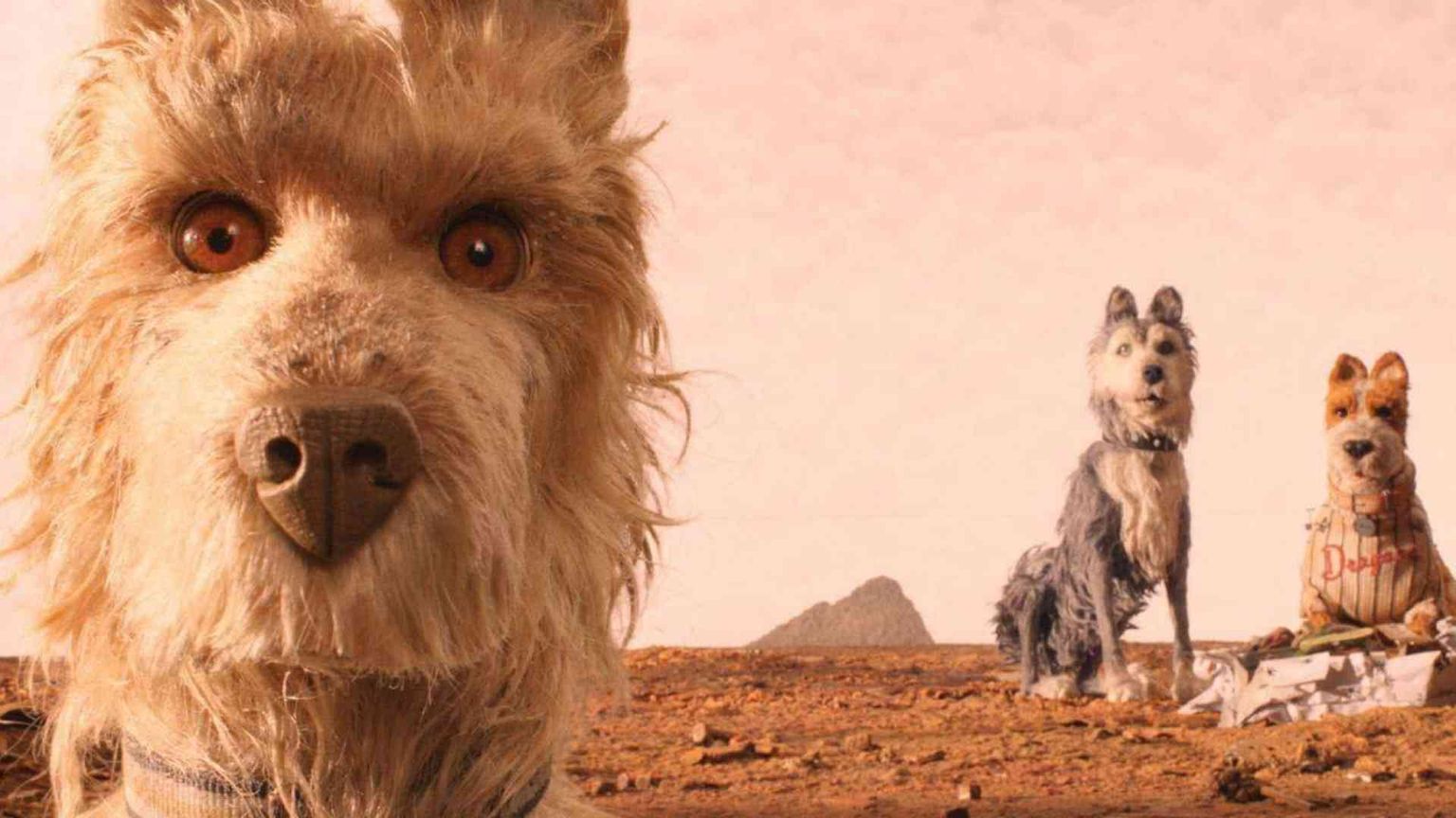 «L'isola dei cani» di Wes Anderson, cartoon adulto sulla cultura dello scarto