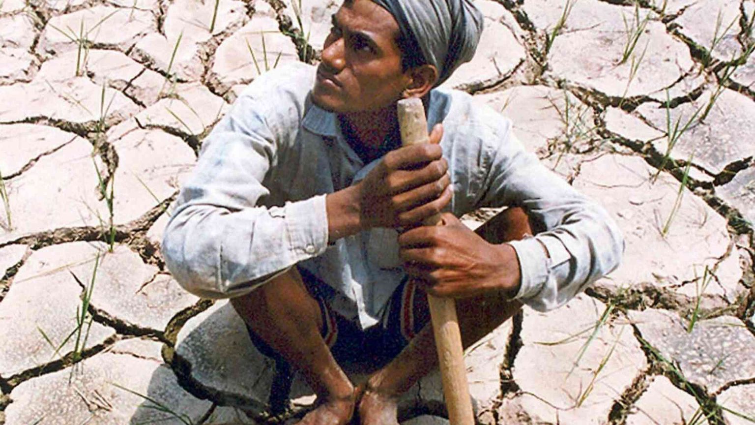 India, la trappola del clima: cresce il caldo, più suicidi