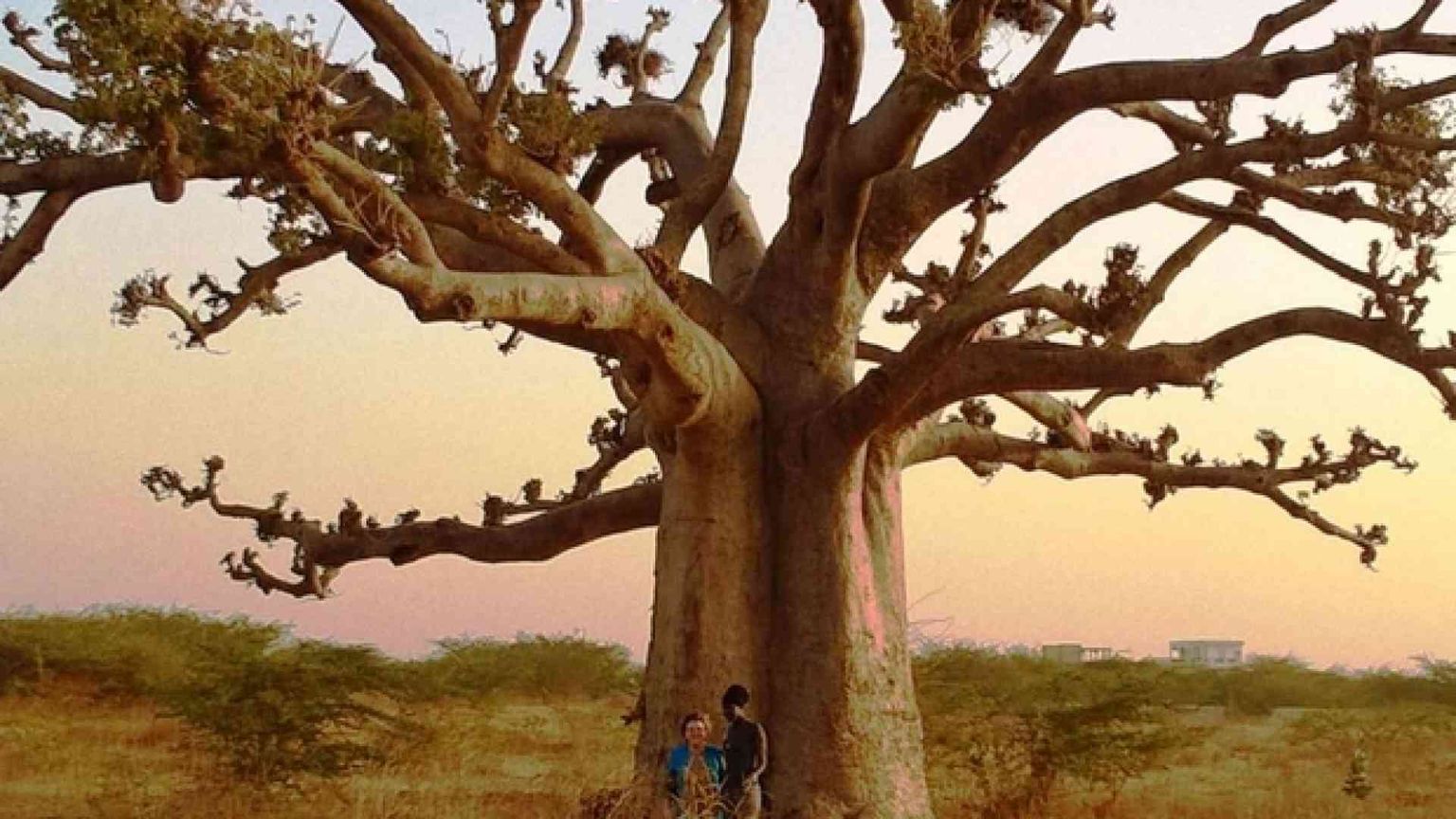 Senegal, viaggio nel paese africano dove dialogano islam e cristianesimo