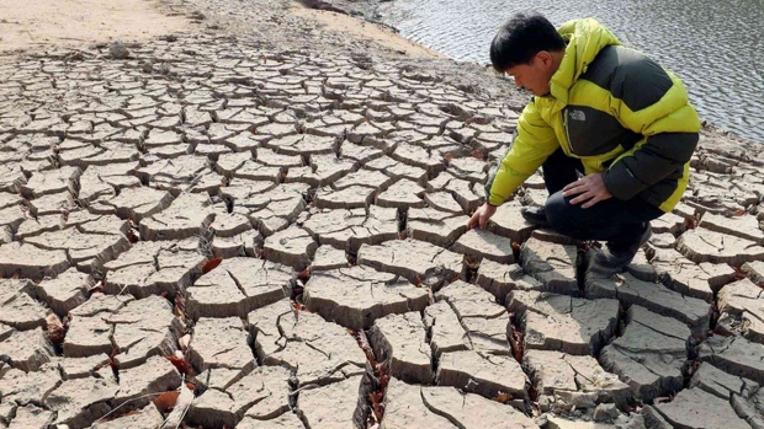 L'Onu lancia le «città-spugna» per il mondo malato di siccità