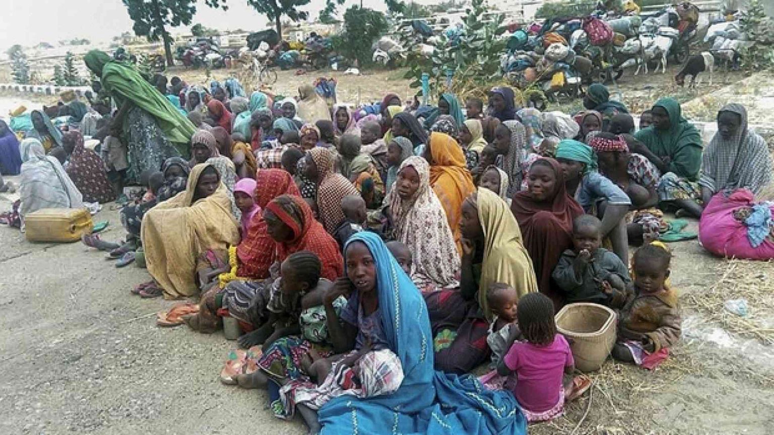 Boko Haram ha liberato le studentesse rapite