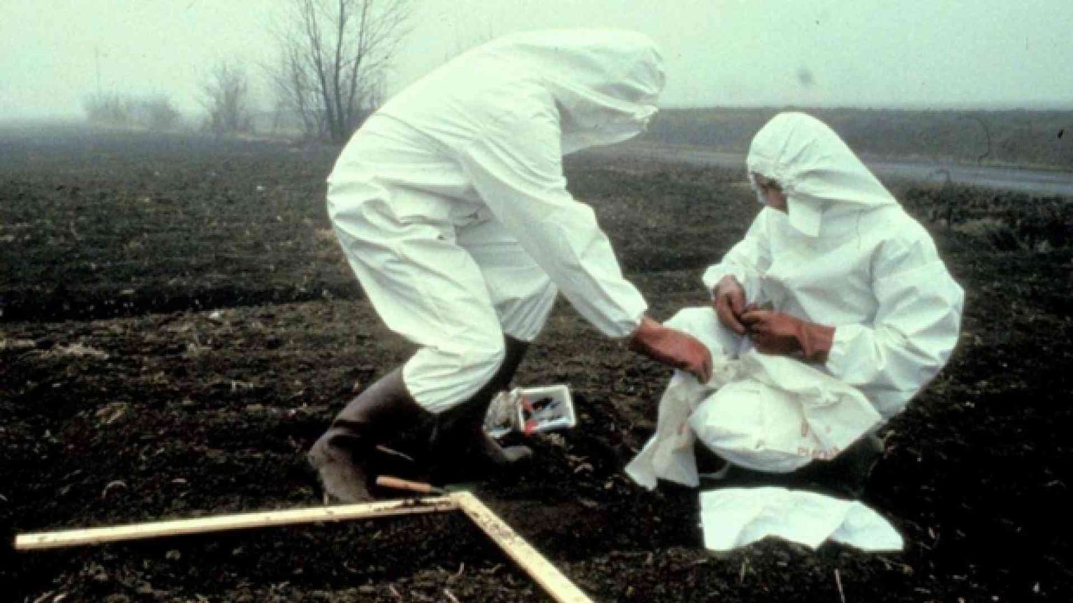 1976 - Diossina a Seveso, pressing per abortire