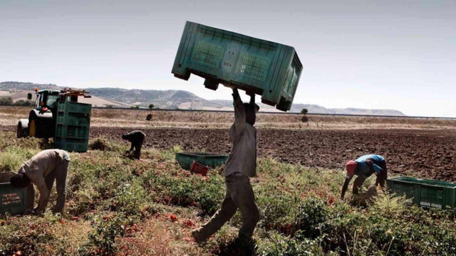 Regioni in campo contro i caporali e i ghetti di schiavi