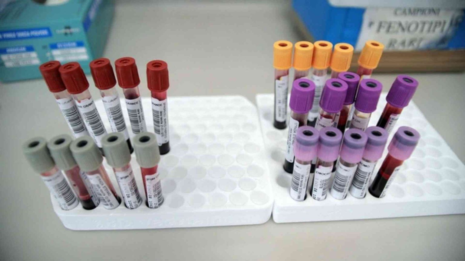 Musulmani in coda per donare sangue