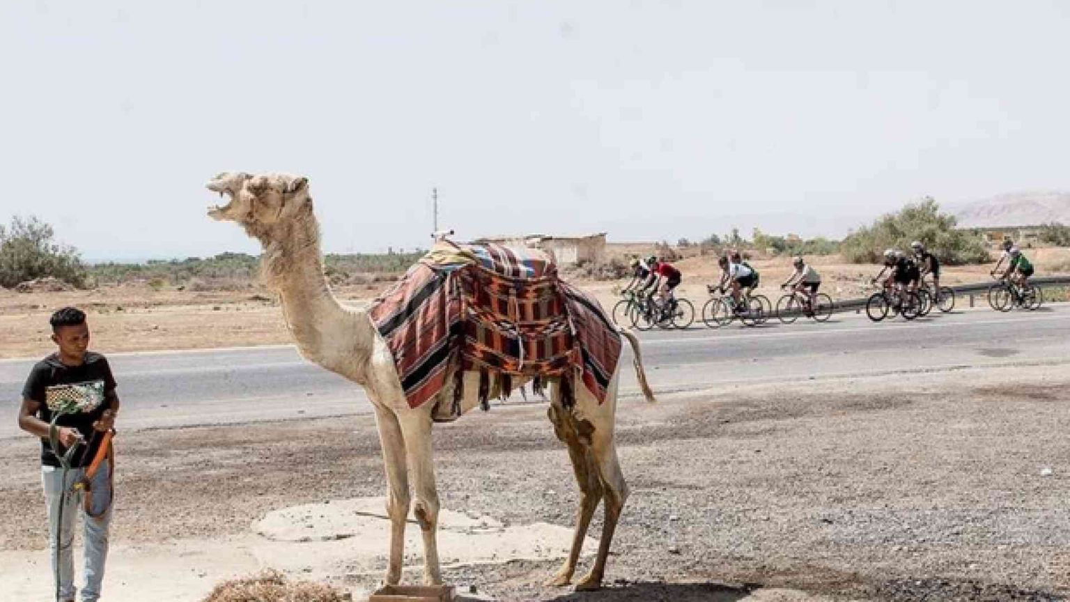 Se il Medio Oriente ora fa un tour tutto suo