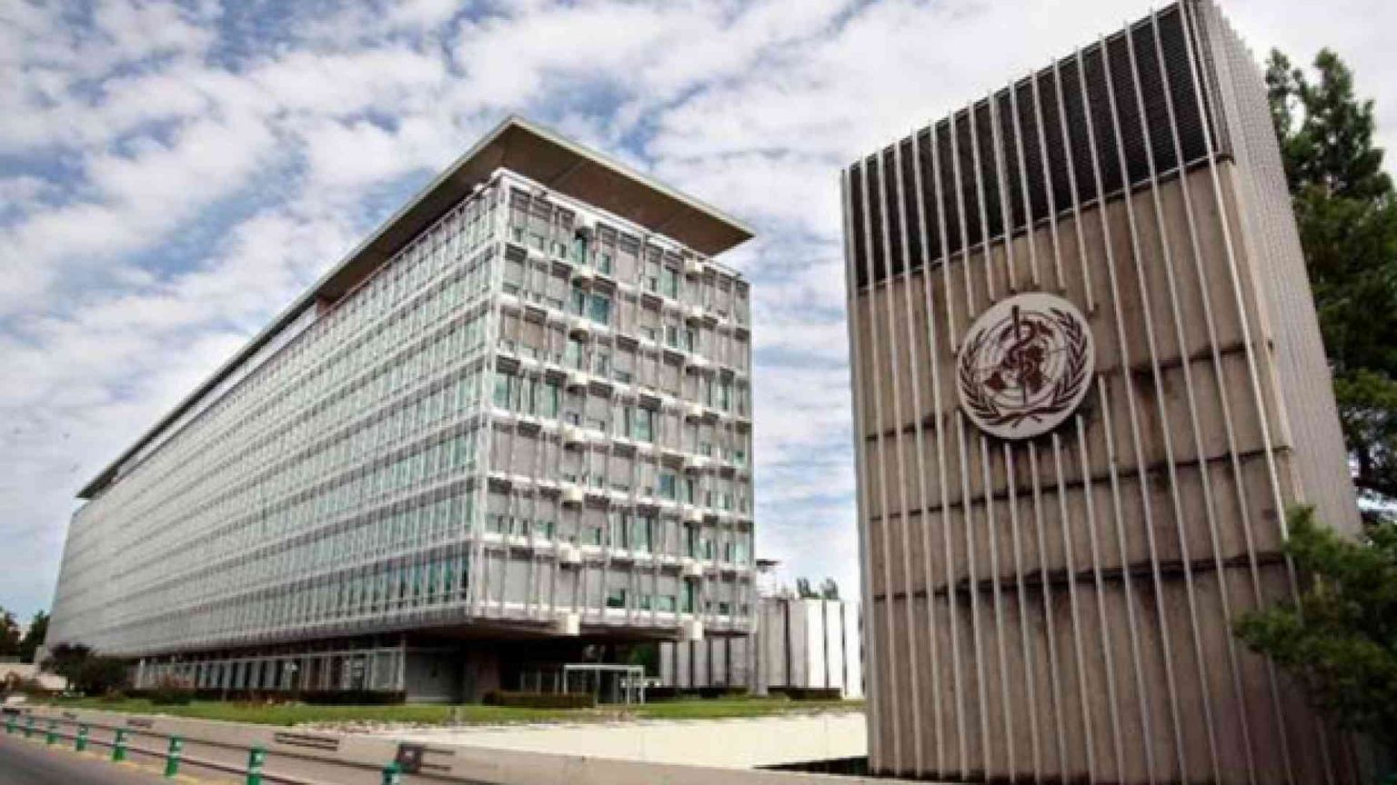 L'Oms: «I transessuali non sono malati»