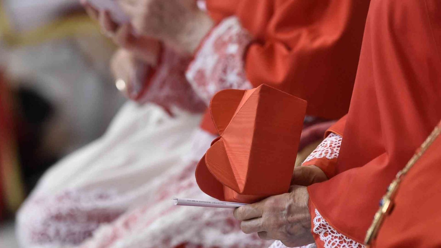 Il Papa crea 14 cardinali: i volti e le storie