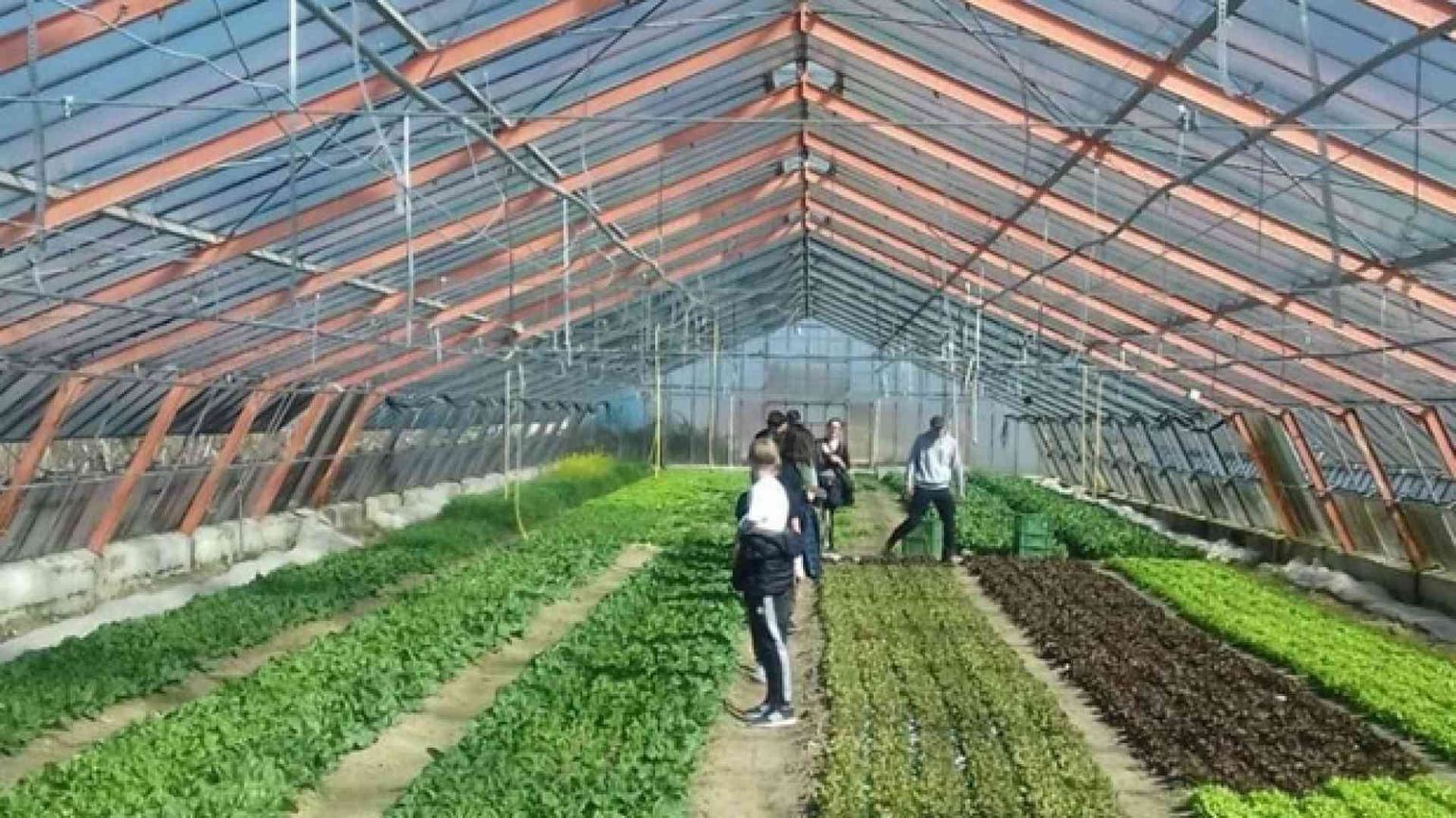 Alternanza scuola-lavoro personalizzata