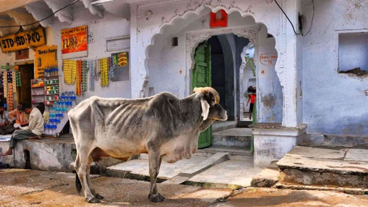 «Contrabbandava vacche»: musulmano linciato dalla folla