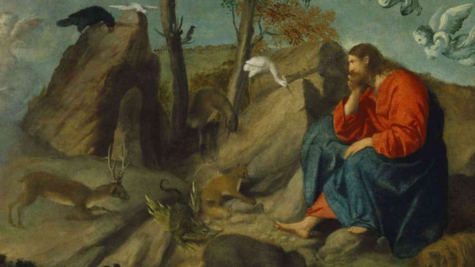 Pecore, uccelli e asini: che zoo la Bibbia