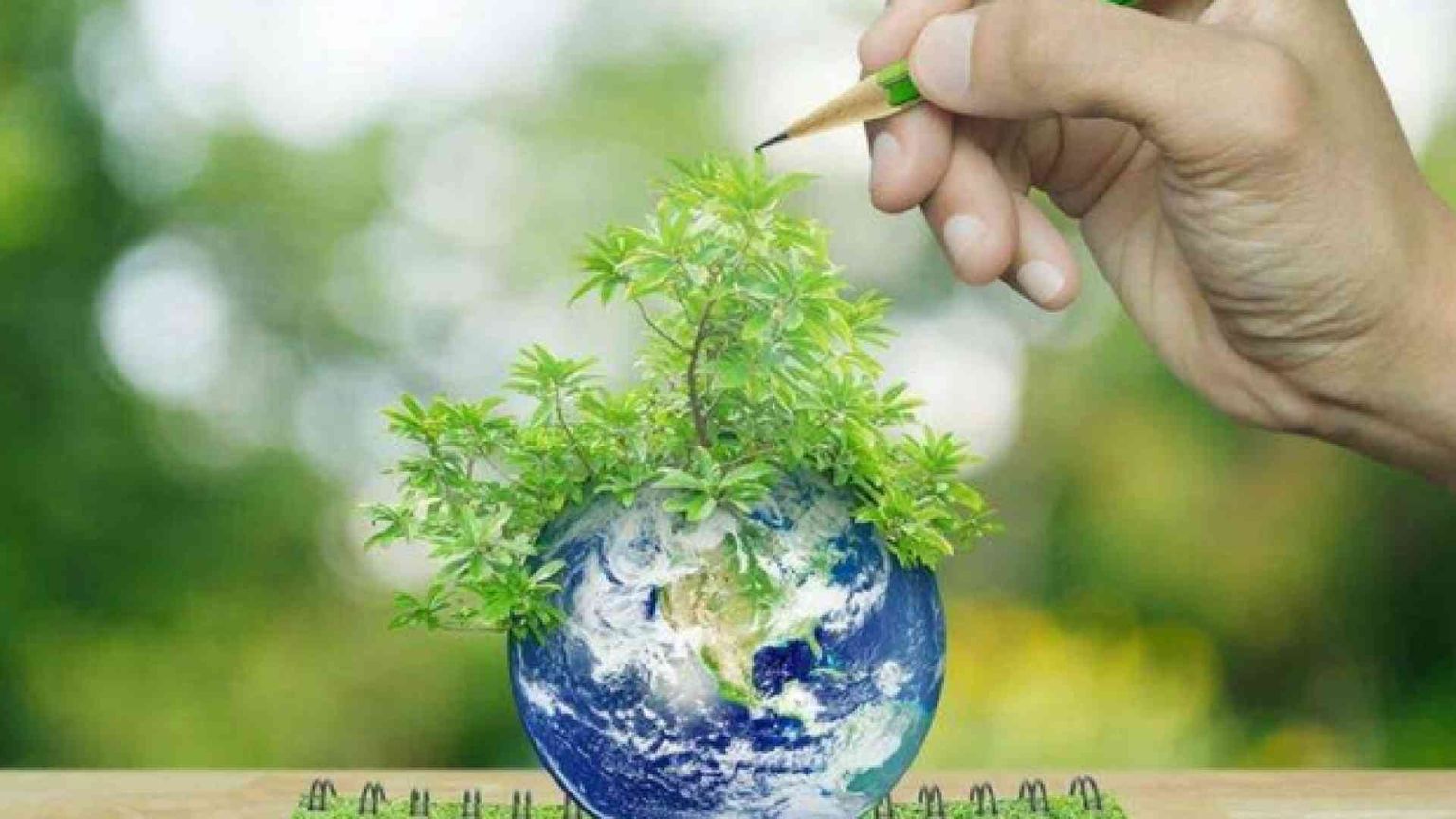 La varietà delle specie, bellezza da tutelare