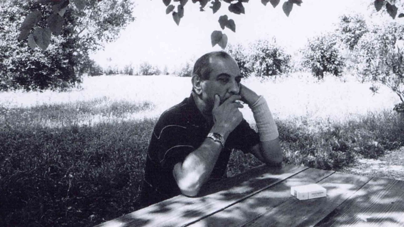 Una mappa tra letteratura e turismo: il Veneto fecondo degli scrittori