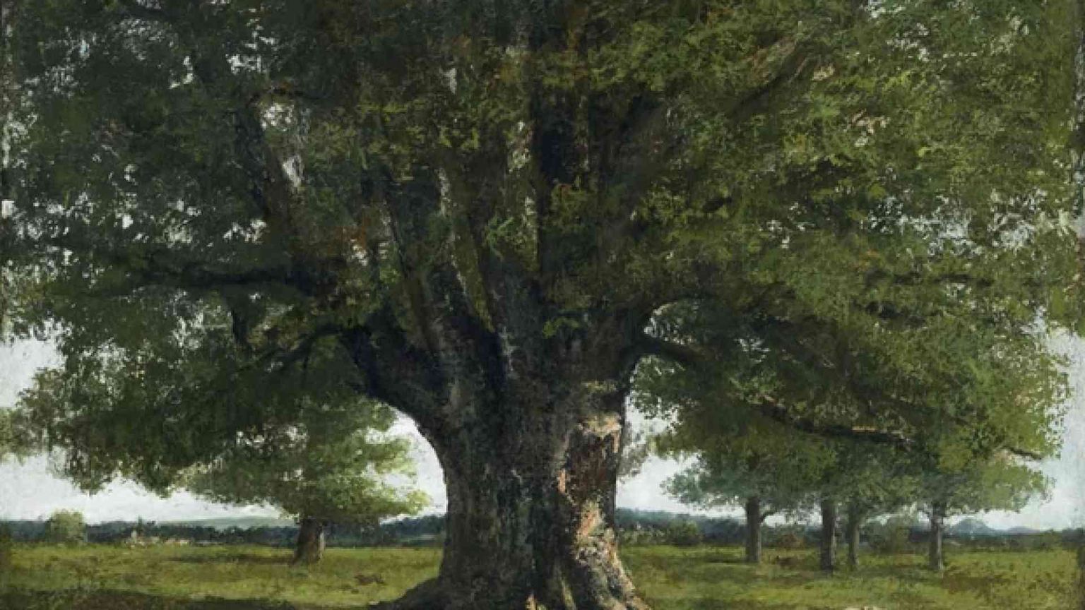 Courbet e le seduzioni di Madre-Materia