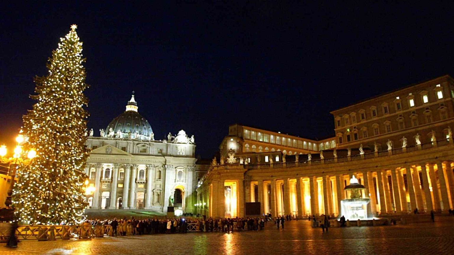 Verrà dal Friuli Venezia Giulia l'albero di Natale per Piazza San Pietro