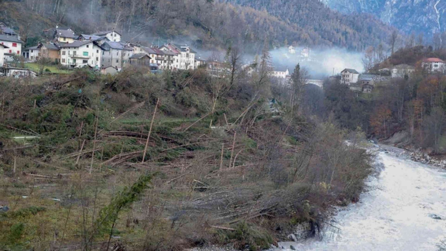 "Più risorse per curare i boschi"