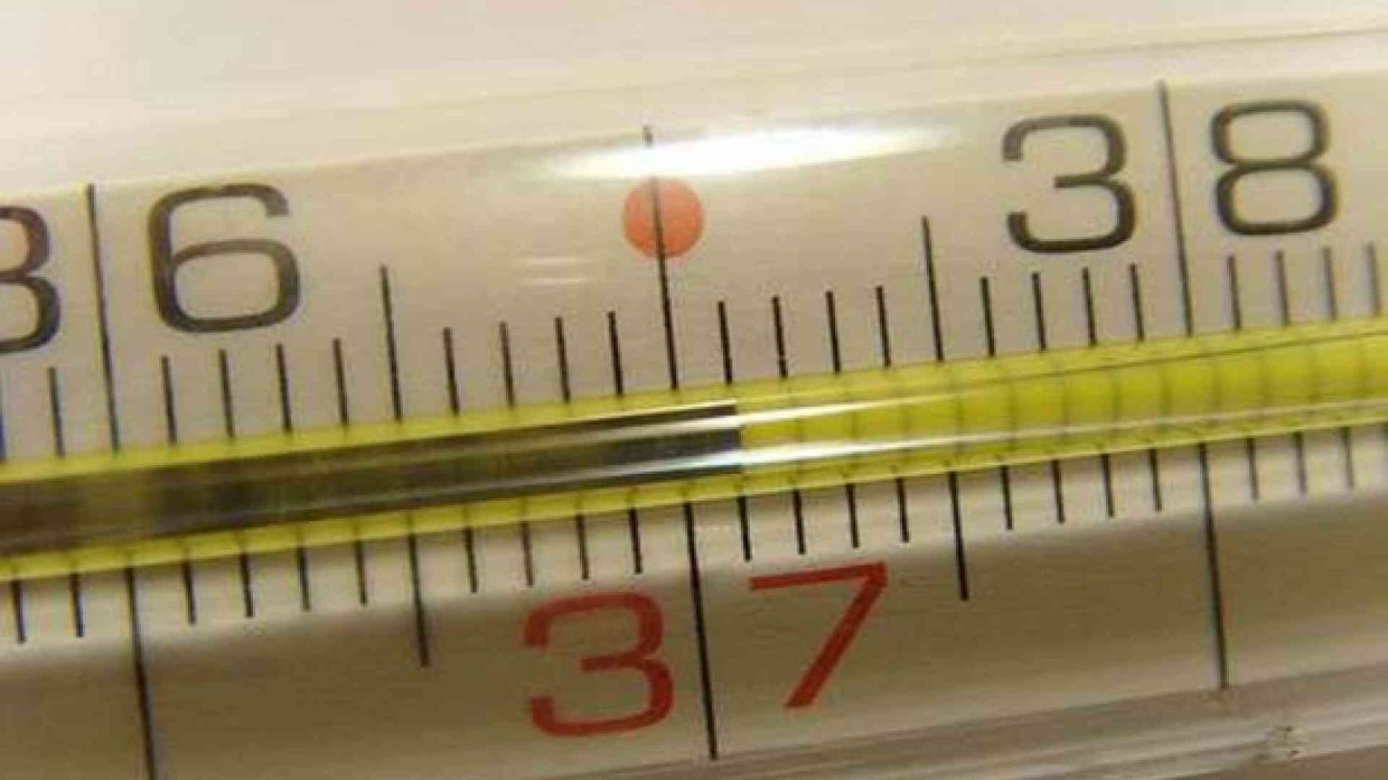 Fingersi malati per saltare il lavoro