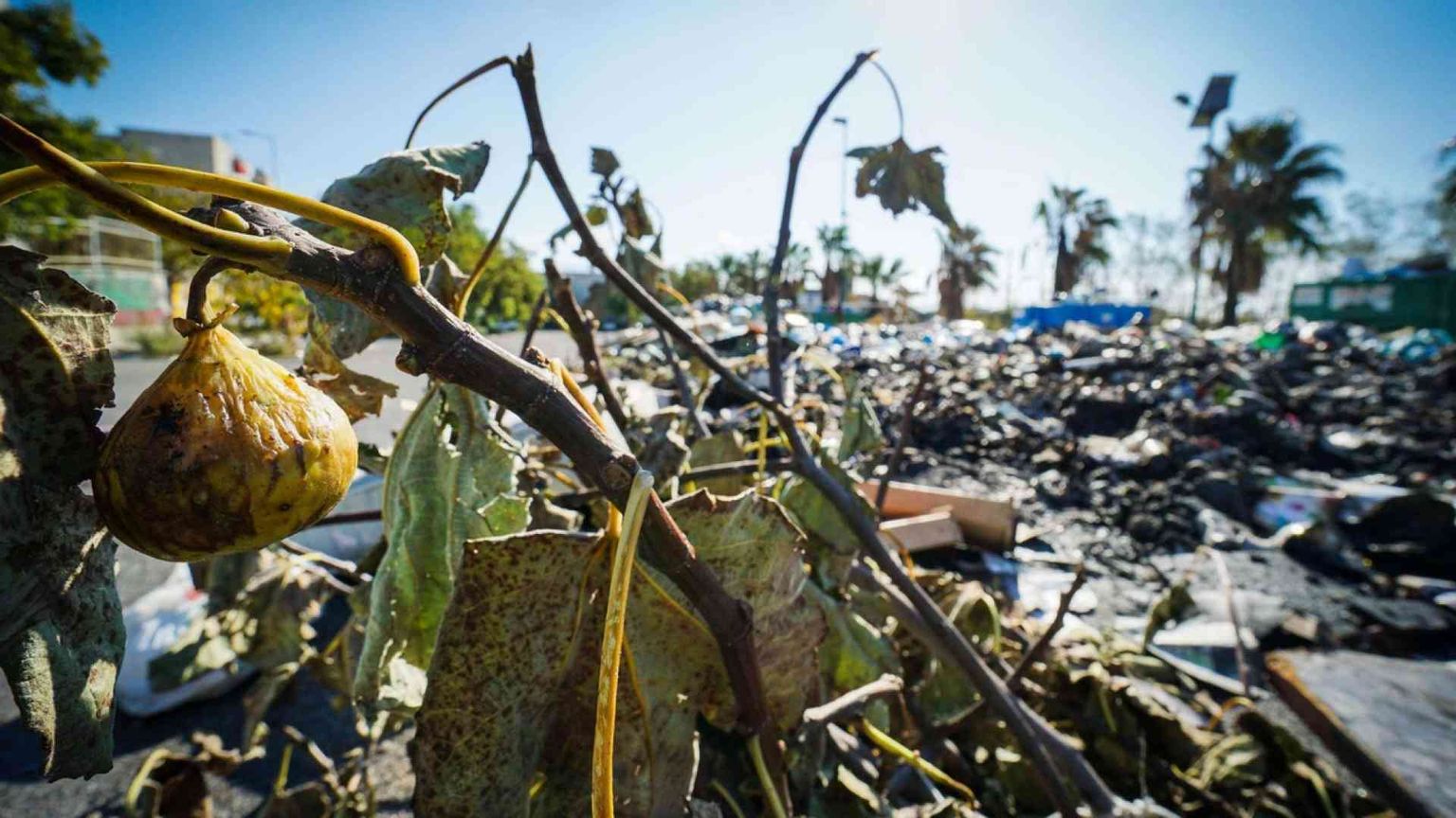 Inceneritori, termovalorizzatori & co: ecco cosa c'è da sapere