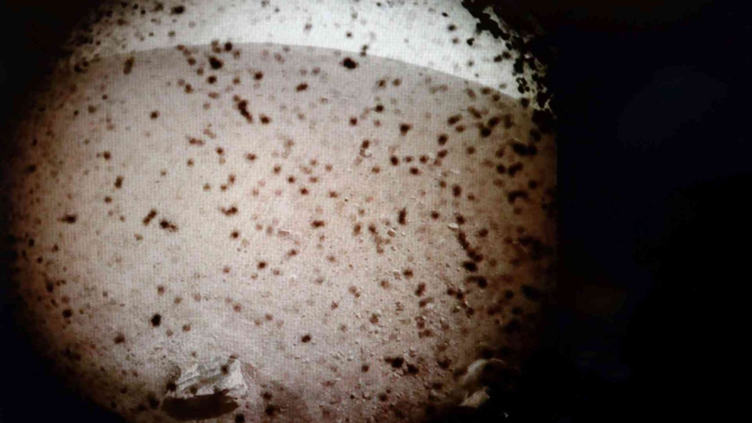 La sonda InSight ce l'ha fatta: è atterrata su Marte (e manda foto)