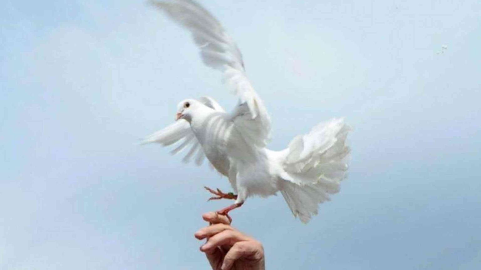 Papa: basta accusare i migranti e privare i poveri di speranza