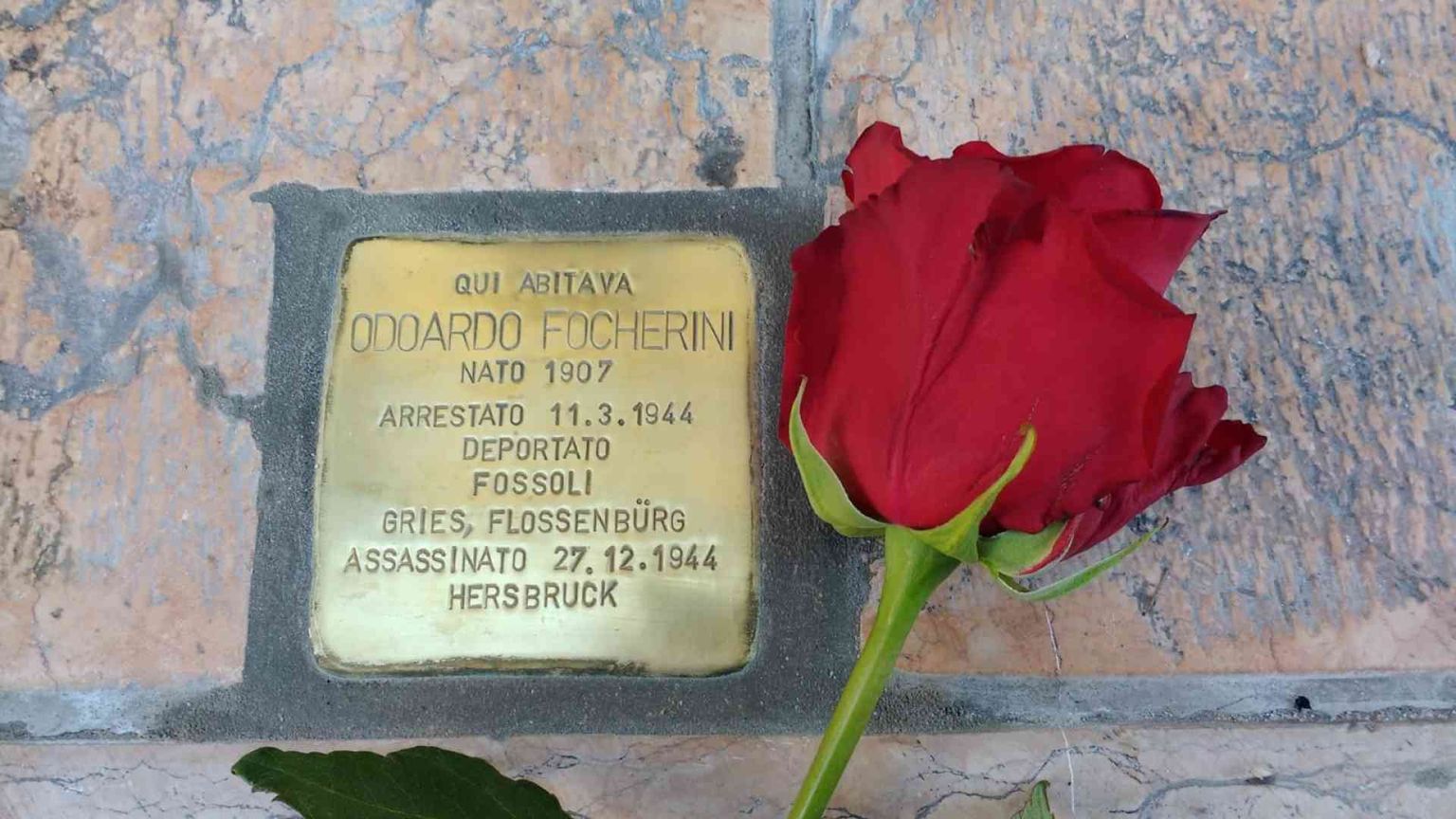 Una «Pietra d'inciampo» sotto casa: così Mirandola ricorda il beato Focherini