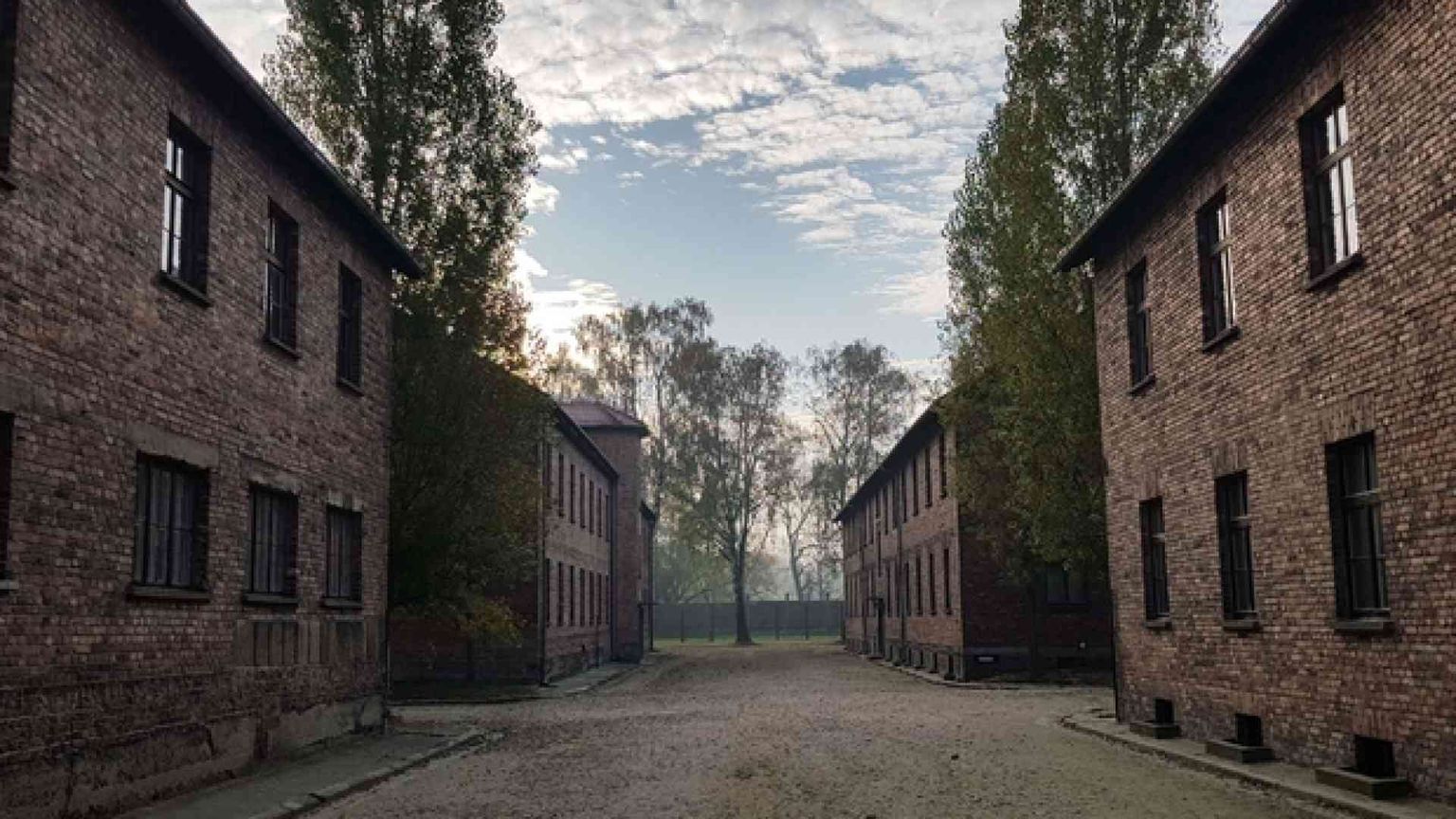 Quello che raccontano gli alberi di Auschwitz