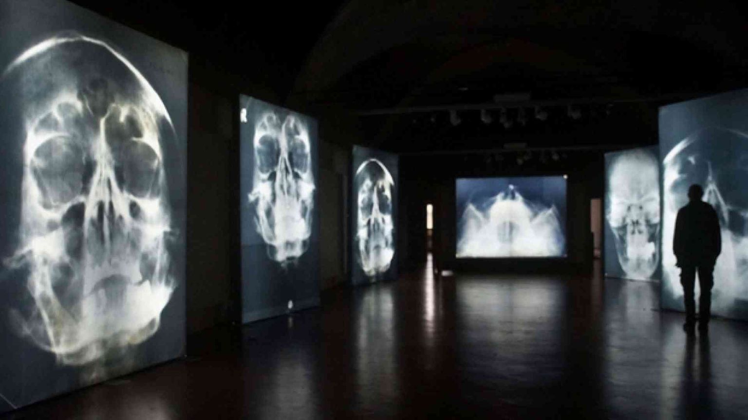 Hitler, radiografia del Male