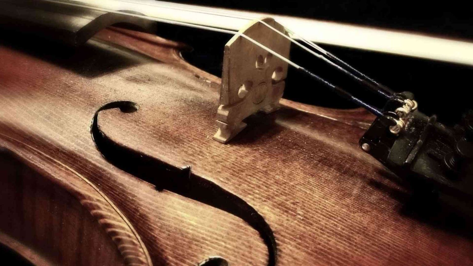 Svelato il segreto della vernice degli Stradivari