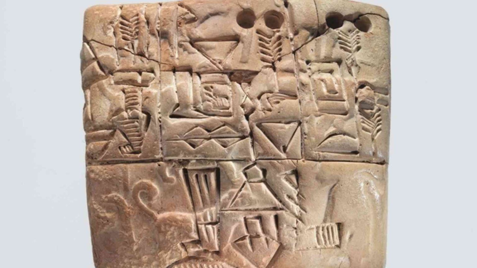Dalla Mesopotamia in poi le città e le istituzioni statali fondano sui cereali