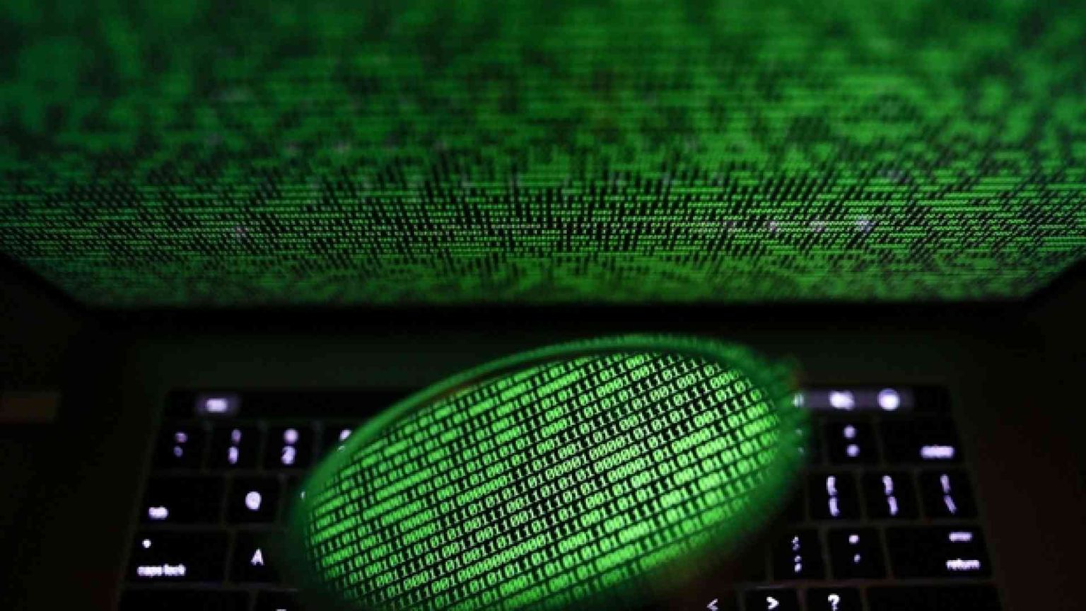 Ecco i profili più richiesti nel 2019