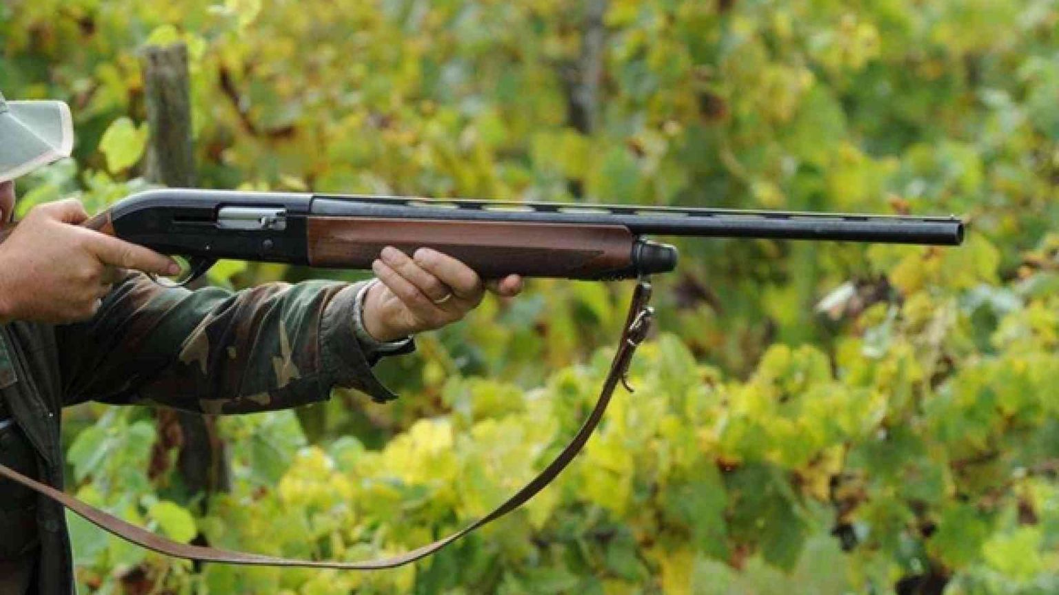 Non la caccia, ma l'idea spara-facile