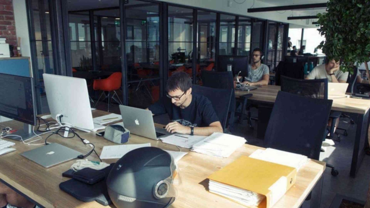 Alla ricerca di 50 persone