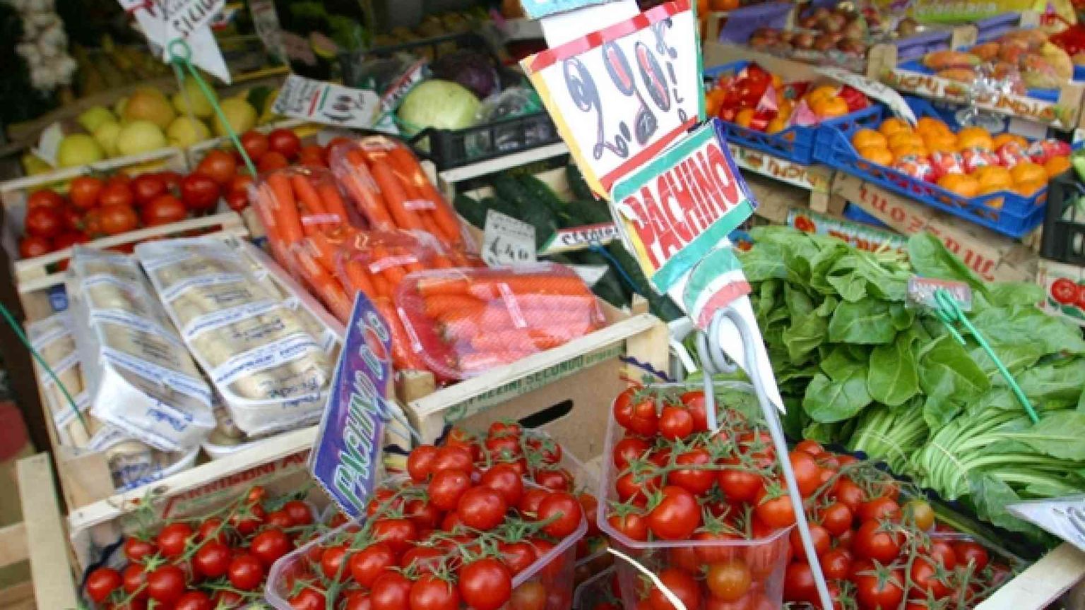 Mondo Bio contro i falsi concimi: «Massima severità con i furbetti»