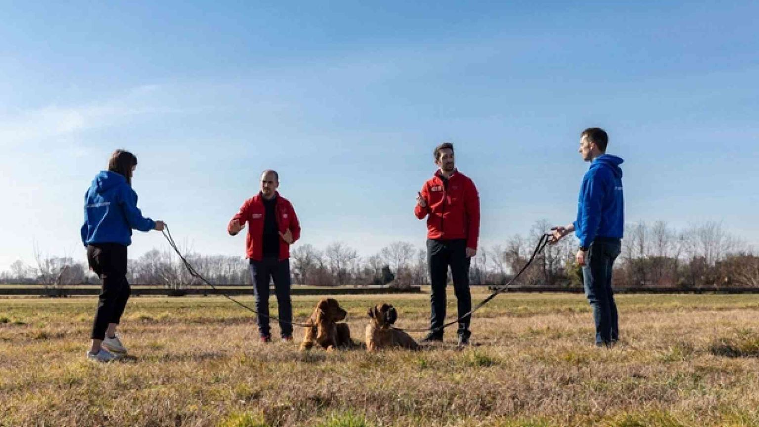 Da istruttore cinofilo a imprenditore