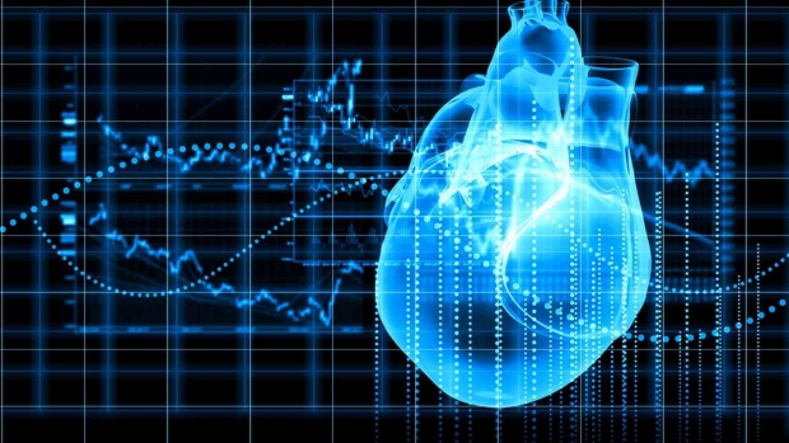 Ecco il modello algoritmico del cuore umano