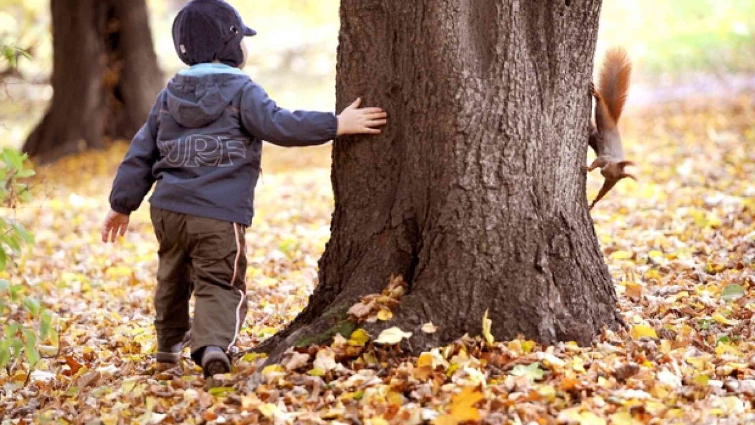 Bimbi tolti ai genitori: ma è crudeltà o tutela?