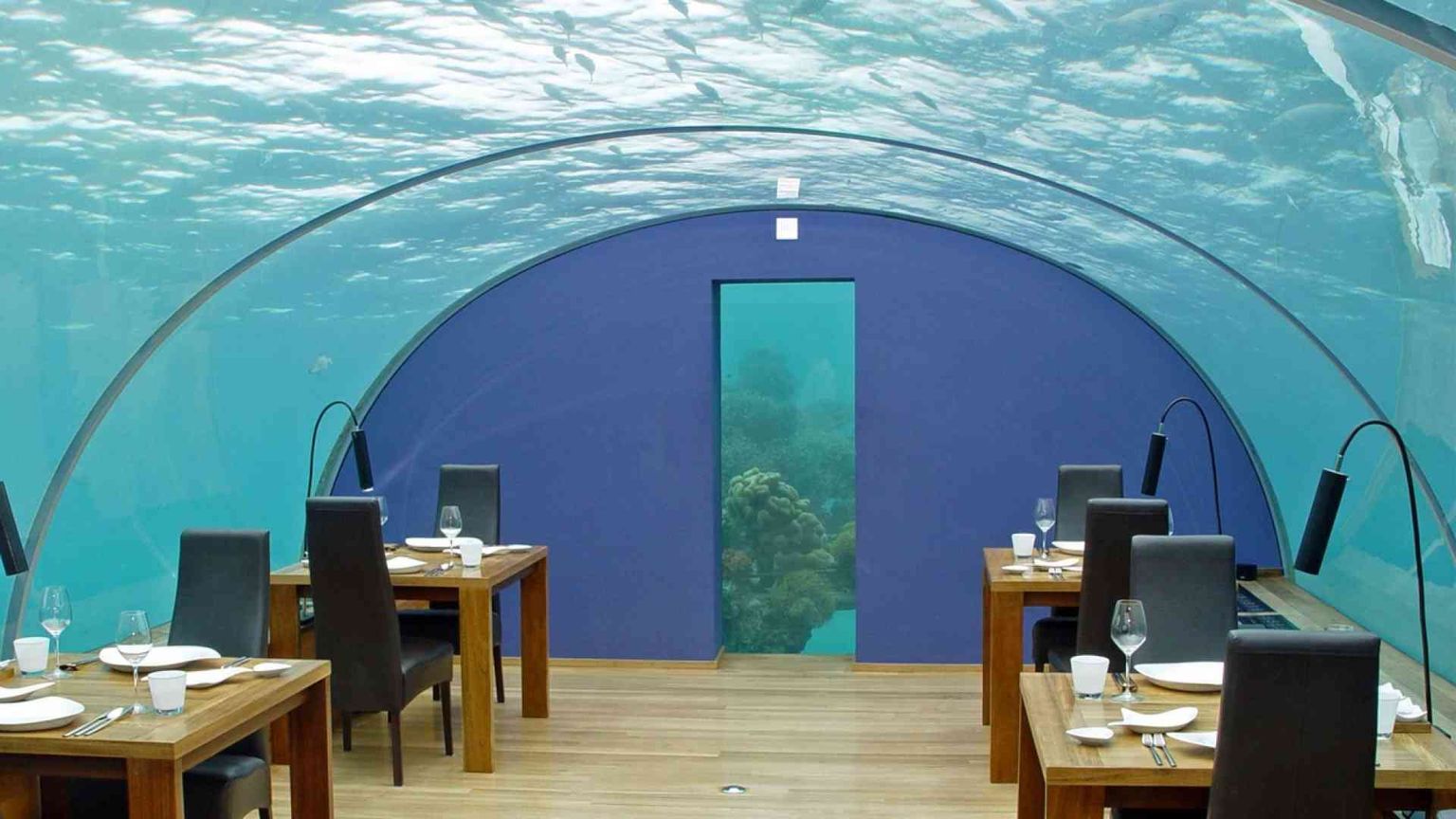 La cura arriva dagli oceani: l'ospedale che non ti aspetti