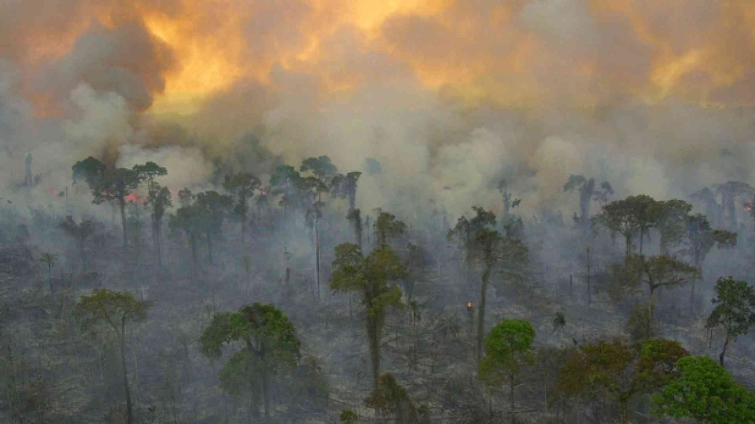 Bolsonaro si prende l'Amazzonia: «Non è patrimonio dell'umanità»