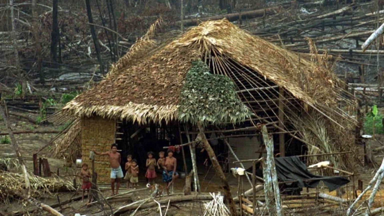 Amazzonia, gli infanticidi? Quasi scomparsi