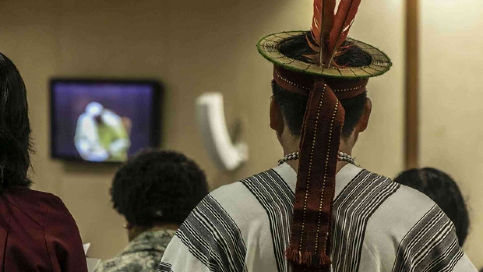 «Così l'Amazzonia ci insegna a coniugare uomo e natura»