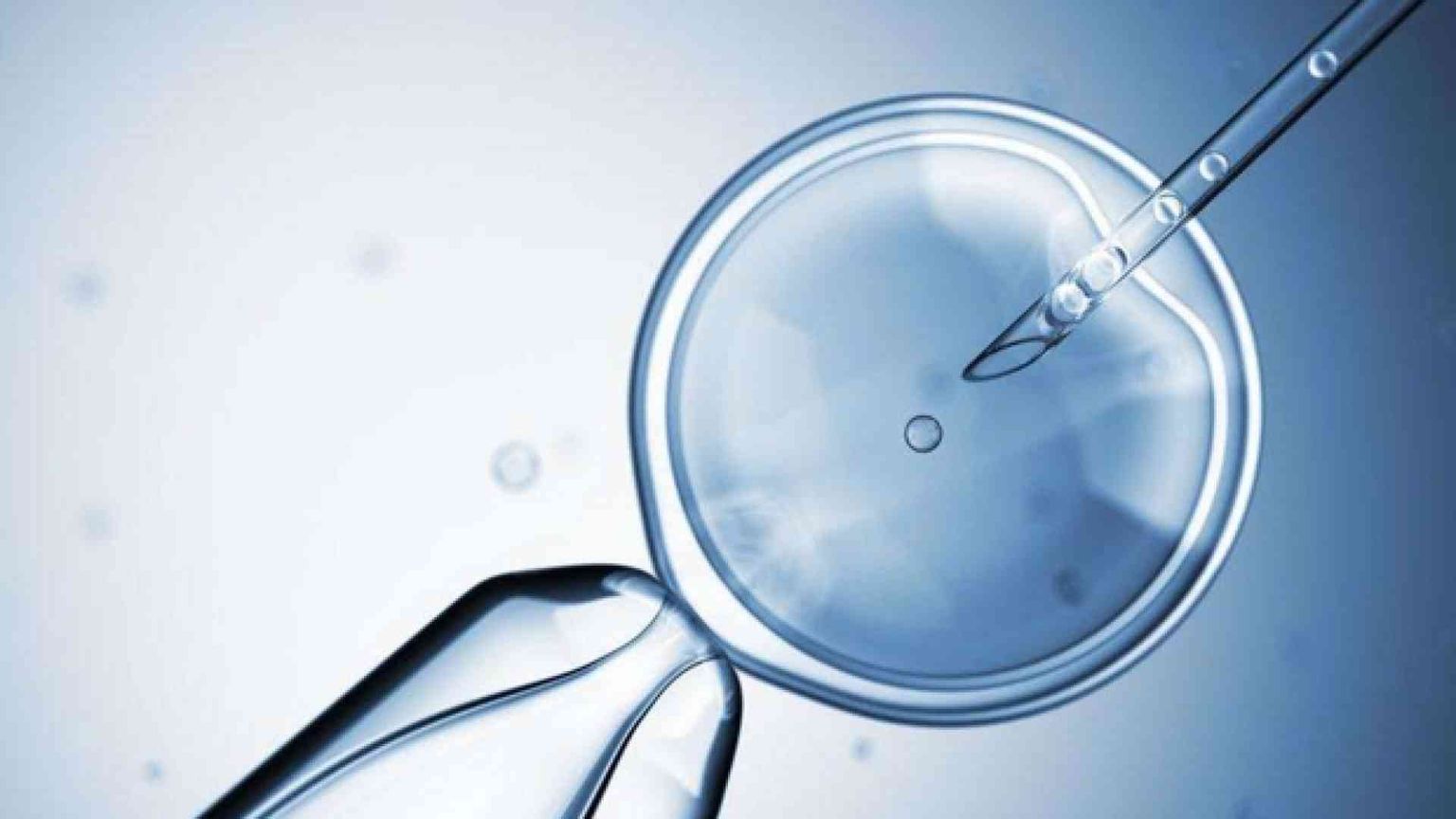 Il donatore e i suoi 14 figli autistici. Causa contro la banca dei gameti