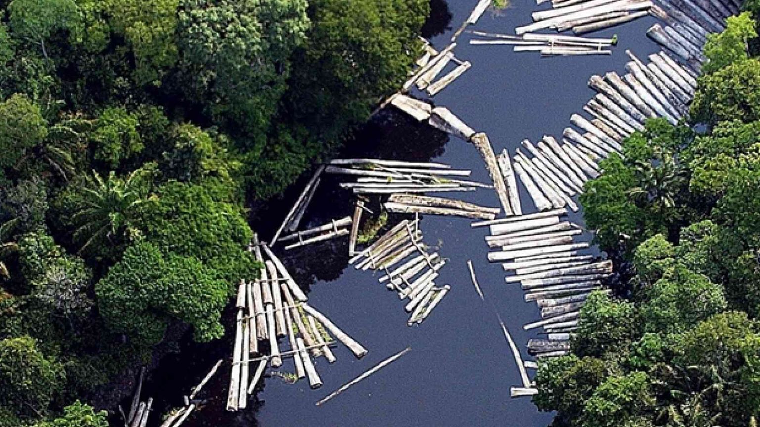 Tutela della casa comune: «Nessuno può dire io non c'entro»