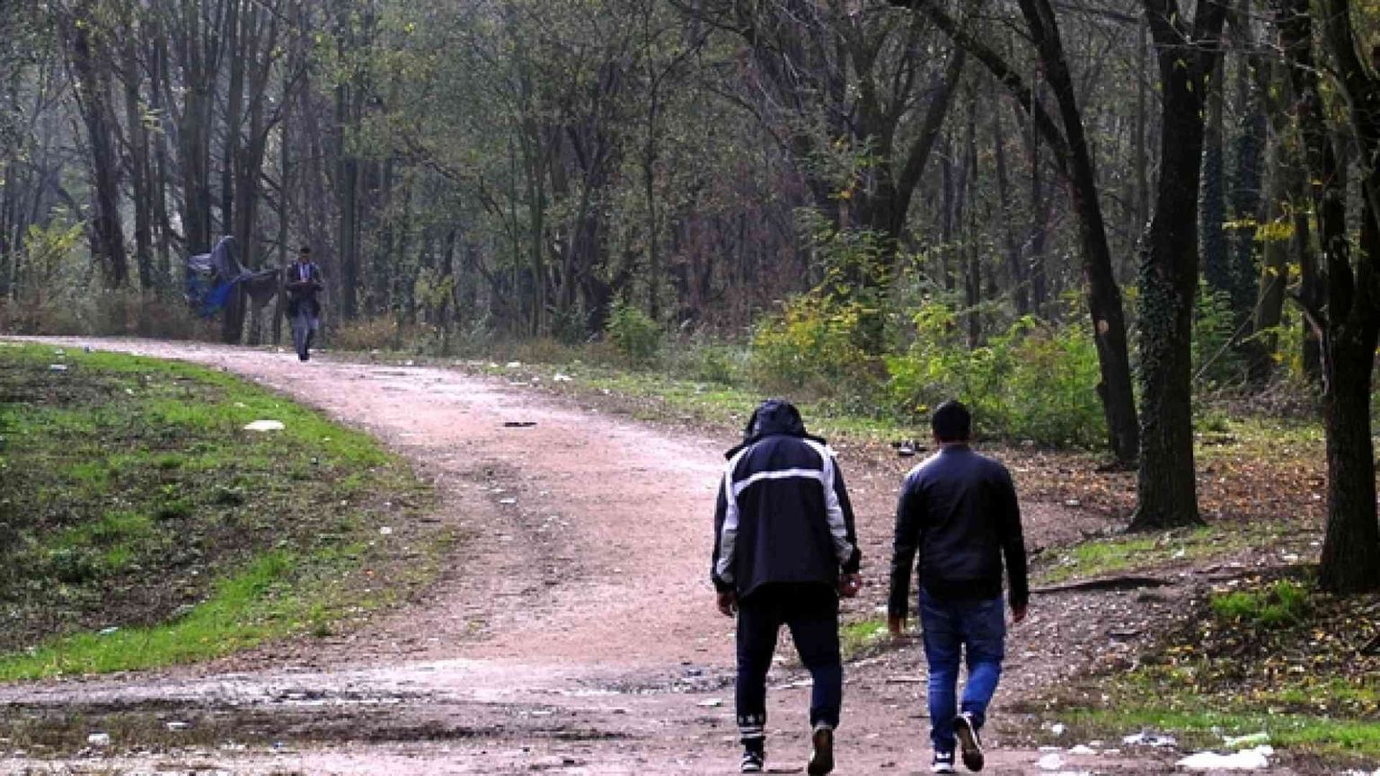 Le comunità: droga, serve una nuova legge e un giro di vite