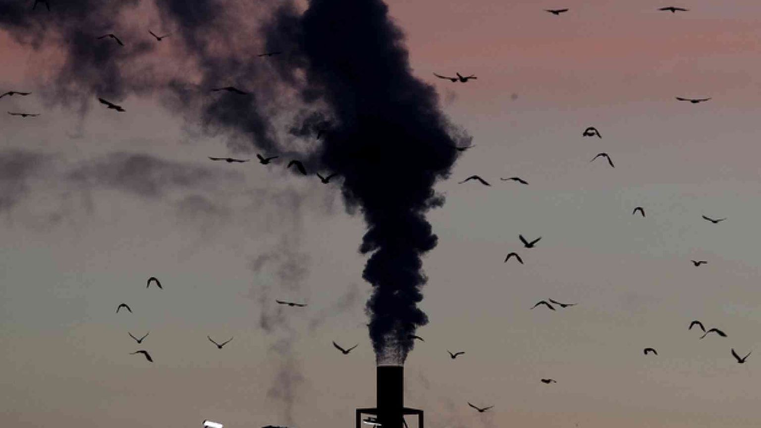 Dal fossile alle rinnovabili: tempi di transizione saranno lunghi