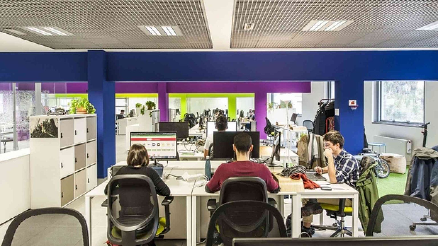 Alla ricerca di 20 persone