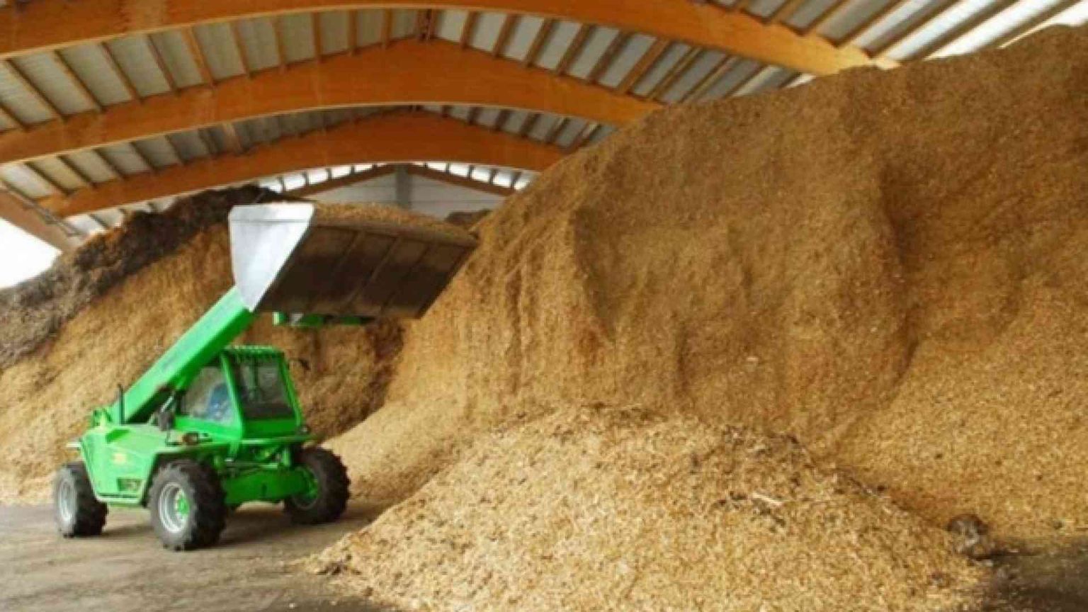 Bioeconomia dei rifiuti organici e delle biomasse