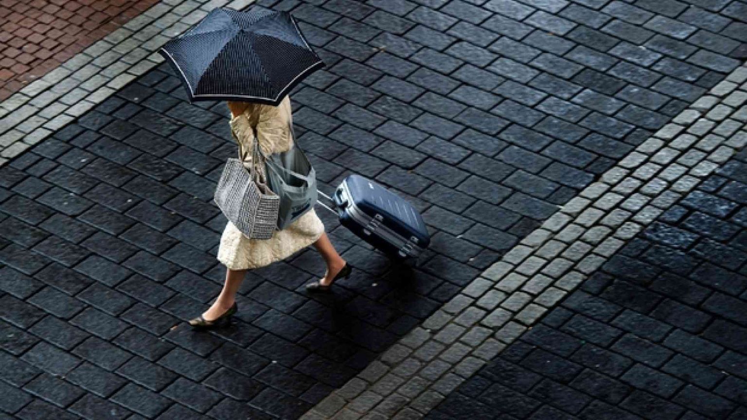 Più donne nei Cda: da un terzo dovranno essere il 40%