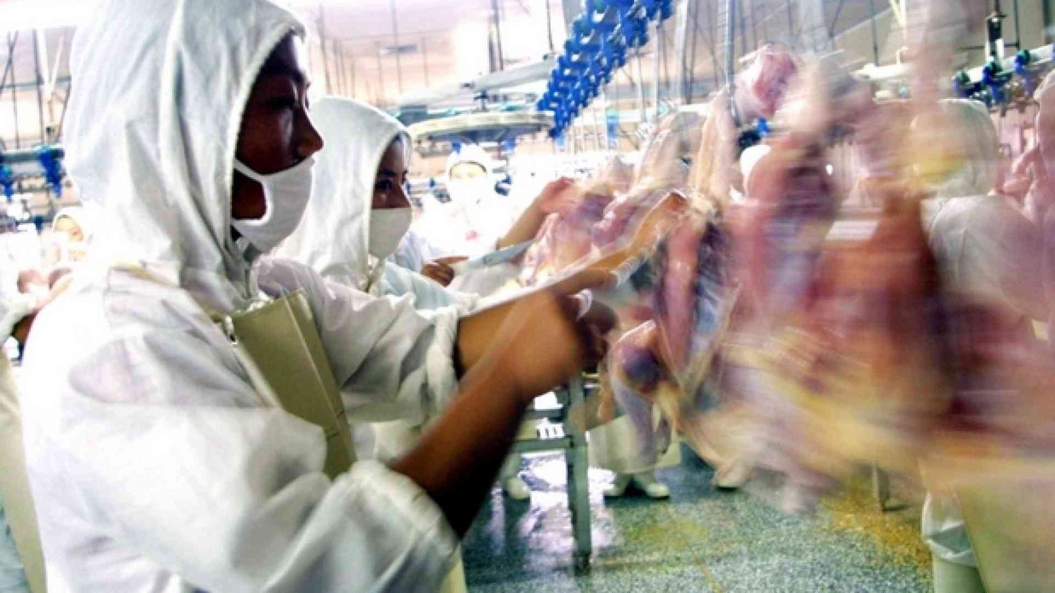 «La Cina nasconde la nuova Sars: 1.700 e non cinquanta i casi»